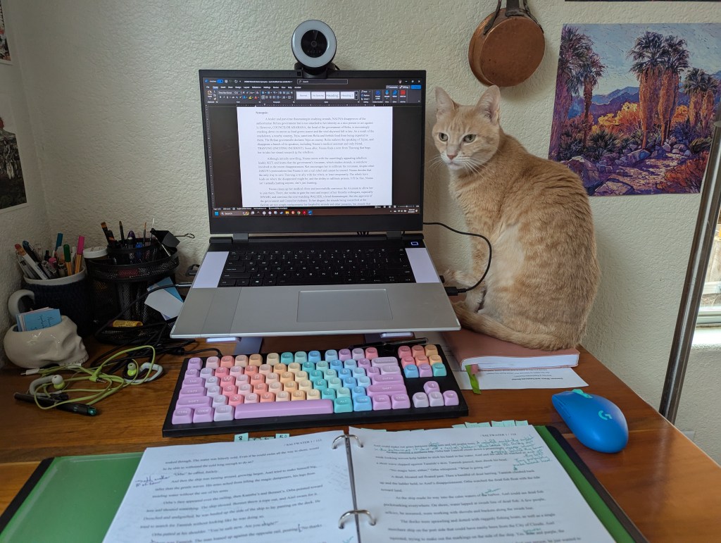 A pale orange cat sitting next to a lifted laptop and an open binder of printed material with handwritten notes.